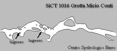 Grotta Micio Conti pianta