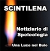 Scintilena